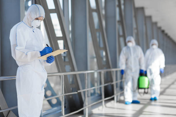  Dryden, MI Mold Removal Pros