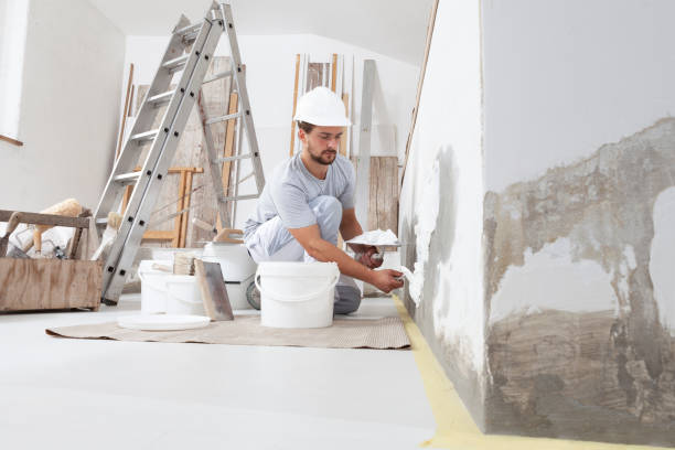 Best Residential Mold Inspection & Testing  in Dryden, MI