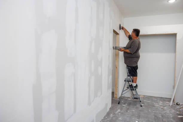 Best Mold Removal for HVAC Installations  in Dryden, MI