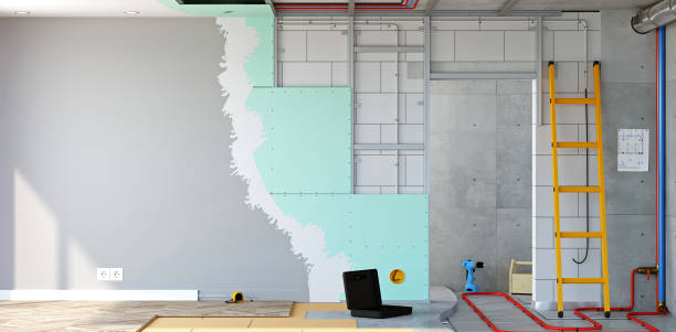 Best Black Mold Removal  in Dryden, MI
