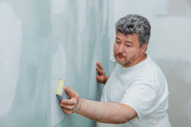 Best Mold Prevention Services  in Dryden, MI
