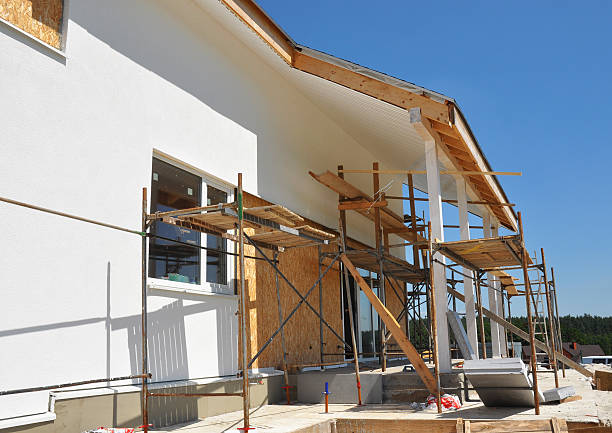 Best Mold Damage Restoration  in Dryden, MI