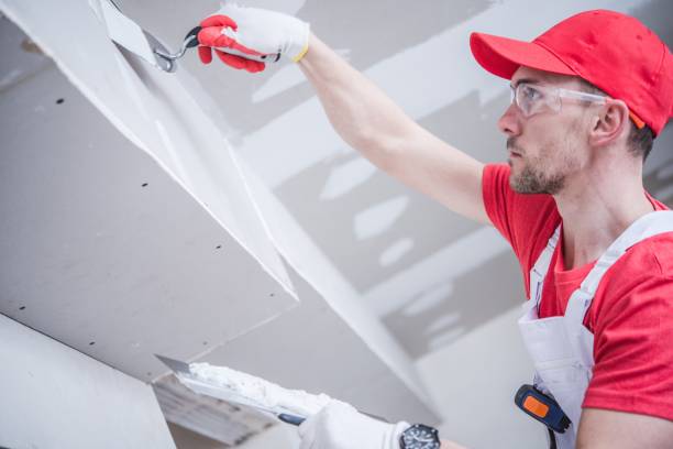 Best Basement Mold Removal  in Dryden, MI