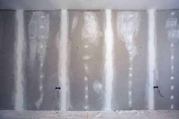Best Airborne Mold Testing  in Dryden, MI